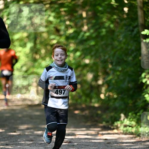 06.10.2024 - Bramfelder Halbmarathon 2024 Dr. Thomas Lammeyer http://msf.ph/oto/7340926 06.10.2024 10:47:01 Laufen 497 meine-sportfotos.de