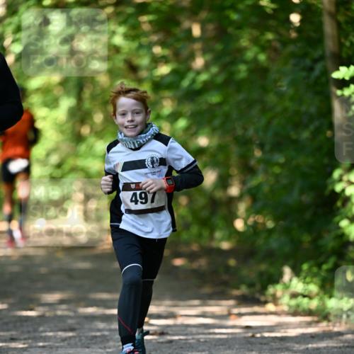 06.10.2024 - Bramfelder Halbmarathon 2024 Dr. Thomas Lammeyer http://msf.ph/oto/7340927 06.10.2024 10:47:01 Laufen 497 meine-sportfotos.de