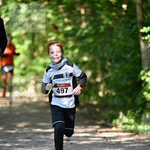 06.10.2024 - Bramfelder Halbmarathon 2024 Dr. Thomas Lammeyer http://msf.ph/oto/7340928 06.10.2024 10:47:01 Laufen 2016, 497 meine-sportfotos.de
