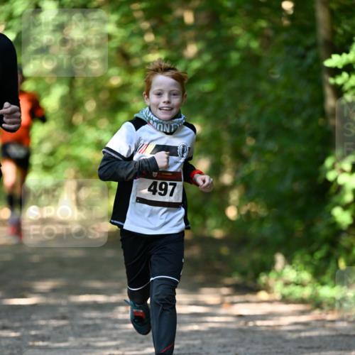 06.10.2024 - Bramfelder Halbmarathon 2024 Dr. Thomas Lammeyer http://msf.ph/oto/7340930 06.10.2024 10:47:01 Laufen 497 meine-sportfotos.de