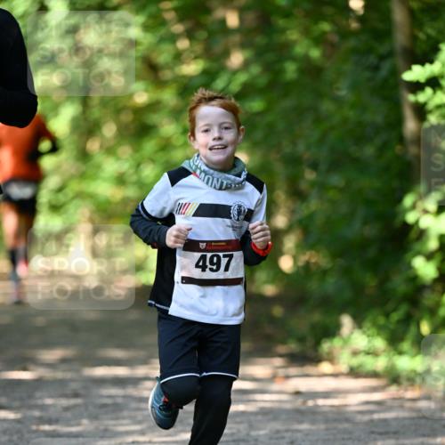 06.10.2024 - Bramfelder Halbmarathon 2024 Dr. Thomas Lammeyer http://msf.ph/oto/7340931 06.10.2024 10:47:02 Laufen 33, 497 meine-sportfotos.de