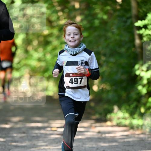 06.10.2024 - Bramfelder Halbmarathon 2024 Dr. Thomas Lammeyer http://msf.ph/oto/7340932 06.10.2024 10:47:02 Laufen 3, 497 meine-sportfotos.de