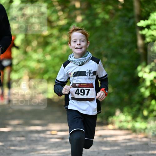 06.10.2024 - Bramfelder Halbmarathon 2024 Dr. Thomas Lammeyer http://msf.ph/oto/7340933 06.10.2024 10:47:02 Laufen 2016, 497 meine-sportfotos.de