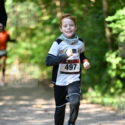 06.10.2024 - Bramfelder Halbmarathon 2024 Dr. Thomas Lammeyer http://msf.ph/oto/7340934 06.10.2024 10:47:02 Laufen 497 meine-sportfotos.de