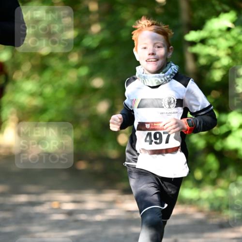06.10.2024 - Bramfelder Halbmarathon 2024 Dr. Thomas Lammeyer http://msf.ph/oto/7340937 06.10.2024 10:47:02 Laufen 2016, 33, 497 meine-sportfotos.de