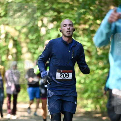06.10.2024 - Bramfelder Halbmarathon 2024 Dr. Thomas Lammeyer http://msf.ph/oto/7340954 06.10.2024 10:47:13 Laufen 209 meine-sportfotos.de