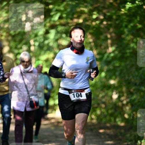 06.10.2024 - Bramfelder Halbmarathon 2024 Dr. Thomas Lammeyer http://msf.ph/oto/7341006 06.10.2024 10:47:26 Laufen 104 meine-sportfotos.de