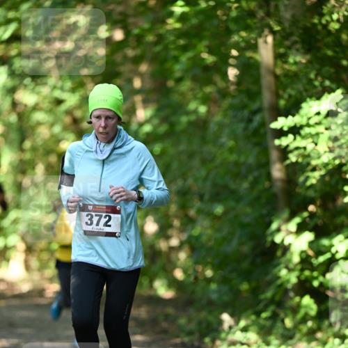 06.10.2024 - Bramfelder Halbmarathon 2024 Dr. Thomas Lammeyer http://msf.ph/oto/7341023 06.10.2024 10:47:29 Laufen 372, 3 meine-sportfotos.de