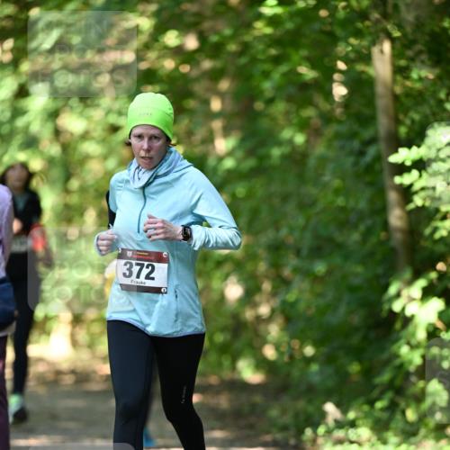 06.10.2024 - Bramfelder Halbmarathon 2024 Dr. Thomas Lammeyer http://msf.ph/oto/7341024 06.10.2024 10:47:29 Laufen 372 meine-sportfotos.de