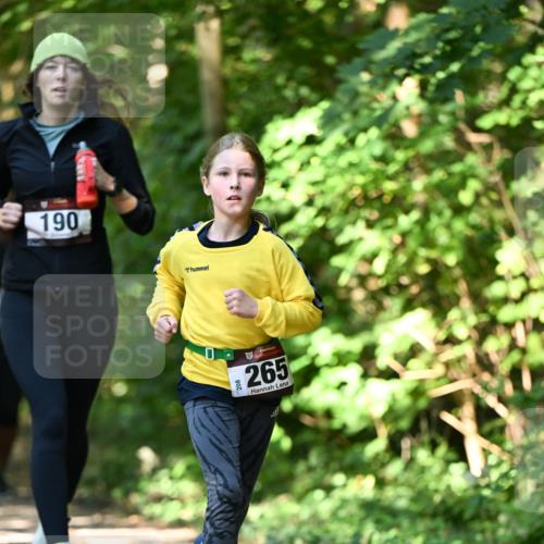 06.10.2024 - Bramfelder Halbmarathon 2024 Dr. Thomas Lammeyer http://msf.ph/oto/7341029 06.10.2024 10:47:32 Laufen 190, 0, 33, 265 meine-sportfotos.de