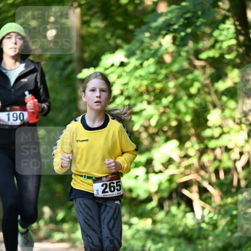 06.10.2024 - Bramfelder Halbmarathon 2024 Dr. Thomas Lammeyer http://msf.ph/oto/7341030 06.10.2024 10:47:33 Laufen 190, 208, 265 meine-sportfotos.de