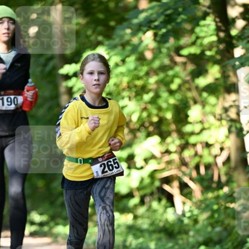 06.10.2024 - Bramfelder Halbmarathon 2024 Dr. Thomas Lammeyer http://msf.ph/oto/7341031 06.10.2024 10:47:33 Laufen 190, 265 meine-sportfotos.de