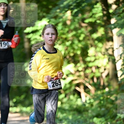 06.10.2024 - Bramfelder Halbmarathon 2024 Dr. Thomas Lammeyer http://msf.ph/oto/7341032 06.10.2024 10:47:33 Laufen 190, 208, 265 meine-sportfotos.de