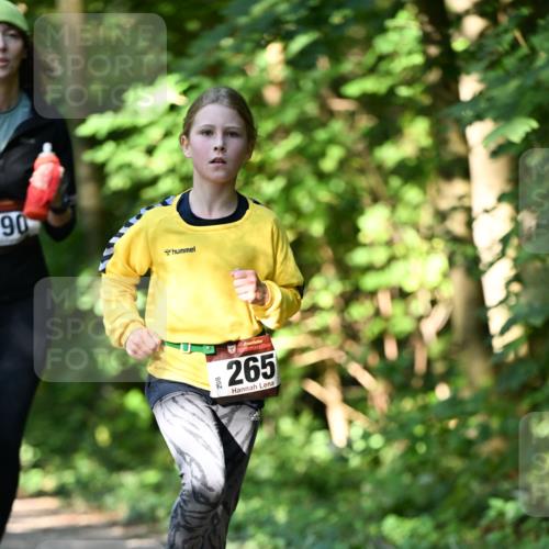 06.10.2024 - Bramfelder Halbmarathon 2024 Dr. Thomas Lammeyer http://msf.ph/oto/7341033 06.10.2024 10:47:33 Laufen 90, 208, 53, 265 meine-sportfotos.de