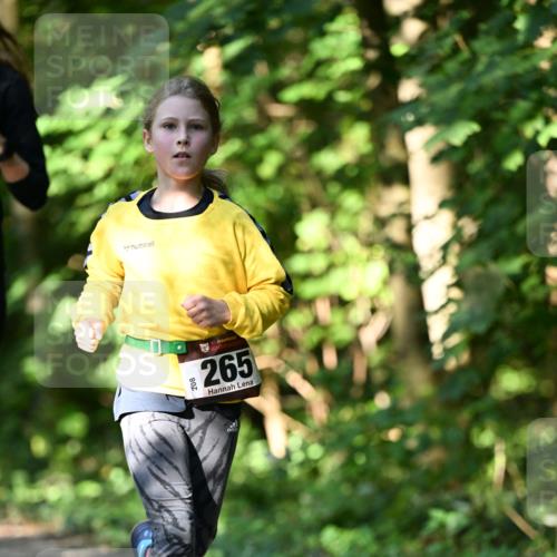 06.10.2024 - Bramfelder Halbmarathon 2024 Dr. Thomas Lammeyer http://msf.ph/oto/7341034 06.10.2024 10:47:33 Laufen 208, 33, 265 meine-sportfotos.de