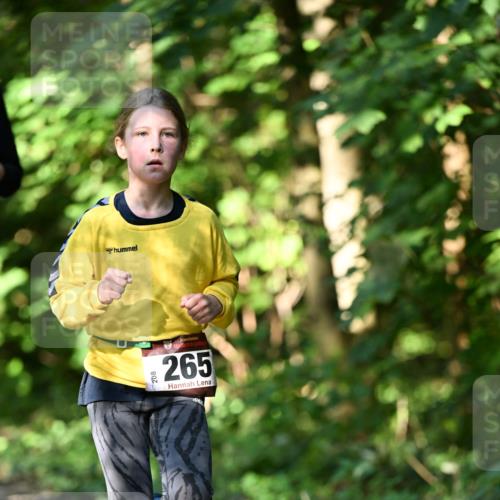 06.10.2024 - Bramfelder Halbmarathon 2024 Dr. Thomas Lammeyer http://msf.ph/oto/7341035 06.10.2024 10:47:33 Laufen 208, 265 meine-sportfotos.de