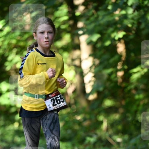 06.10.2024 - Bramfelder Halbmarathon 2024 Dr. Thomas Lammeyer http://msf.ph/oto/7341036 06.10.2024 10:47:33 Laufen 265 meine-sportfotos.de