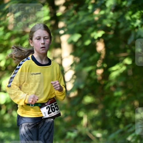 06.10.2024 - Bramfelder Halbmarathon 2024 Dr. Thomas Lammeyer http://msf.ph/oto/7341037 06.10.2024 10:47:33 Laufen 208, 265, 235 meine-sportfotos.de