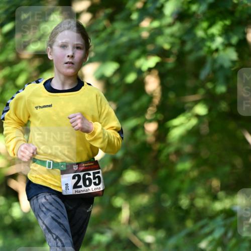 06.10.2024 - Bramfelder Halbmarathon 2024 Dr. Thomas Lammeyer http://msf.ph/oto/7341038 06.10.2024 10:47:34 Laufen 208, 208, 33, 265 meine-sportfotos.de