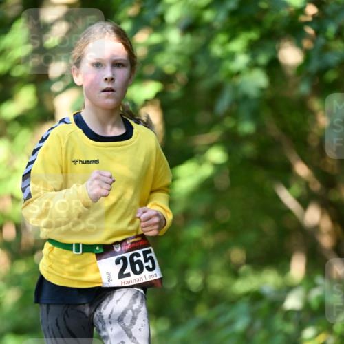 06.10.2024 - Bramfelder Halbmarathon 2024 Dr. Thomas Lammeyer http://msf.ph/oto/7341040 06.10.2024 10:47:34 Laufen 208, 265 meine-sportfotos.de