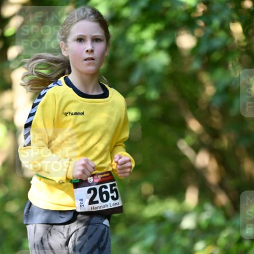 06.10.2024 - Bramfelder Halbmarathon 2024 Dr. Thomas Lammeyer http://msf.ph/oto/7341041 06.10.2024 10:47:34 Laufen 208, 265 meine-sportfotos.de