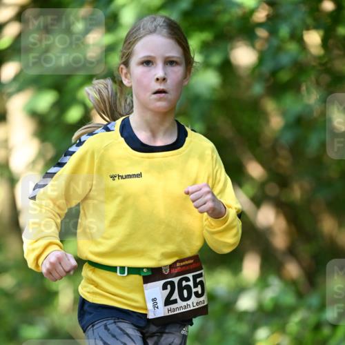 06.10.2024 - Bramfelder Halbmarathon 2024 Dr. Thomas Lammeyer http://msf.ph/oto/7341042 06.10.2024 10:47:34 Laufen 265 meine-sportfotos.de