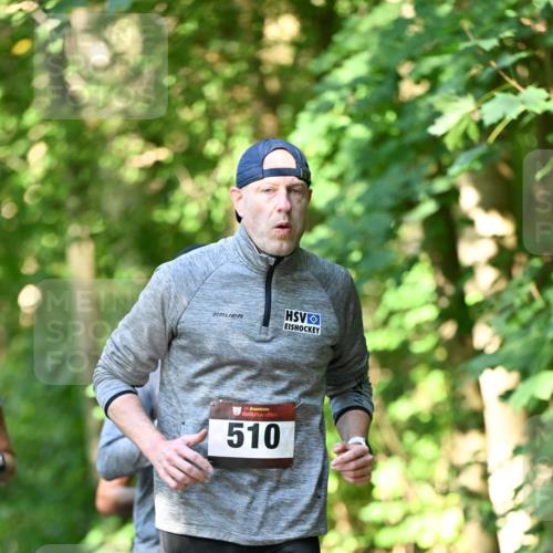 06.10.2024 - Bramfelder Halbmarathon 2024 Dr. Thomas Lammeyer http://msf.ph/oto/7341044 06.10.2024 10:47:35 Laufen 33, 510 meine-sportfotos.de