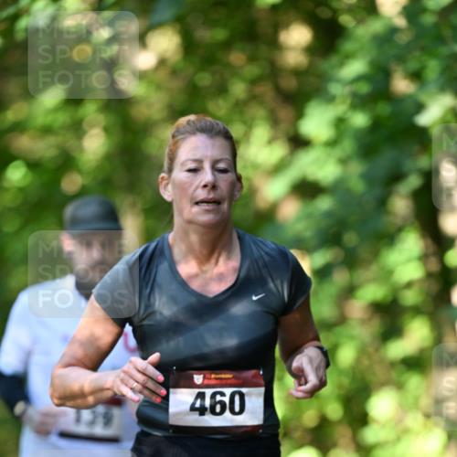 06.10.2024 - Bramfelder Halbmarathon 2024 Dr. Thomas Lammeyer http://msf.ph/oto/7341051 06.10.2024 10:47:37 Laufen 460 meine-sportfotos.de