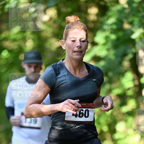 06.10.2024 - Bramfelder Halbmarathon 2024 Dr. Thomas Lammeyer http://msf.ph/oto/7341052 06.10.2024 10:47:37 Laufen 39, 460 meine-sportfotos.de