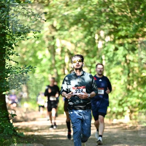 06.10.2024 - Bramfelder Halbmarathon 2024 Dr. Thomas Lammeyer http://msf.ph/oto/7341062 06.10.2024 10:47:49 Laufen 224 meine-sportfotos.de