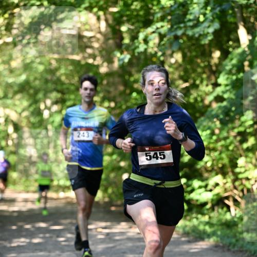 06.10.2024 - Bramfelder Halbmarathon 2024 Dr. Thomas Lammeyer http://msf.ph/oto/7341116 06.10.2024 10:48:00 Laufen 243, 545 meine-sportfotos.de