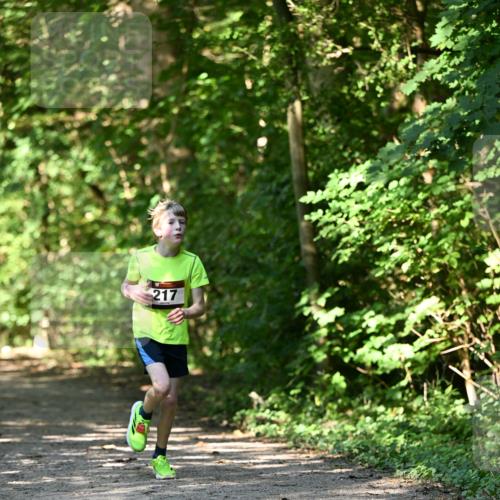 06.10.2024 - Bramfelder Halbmarathon 2024 Dr. Thomas Lammeyer http://msf.ph/oto/7341126 06.10.2024 10:48:04 Laufen 217 meine-sportfotos.de