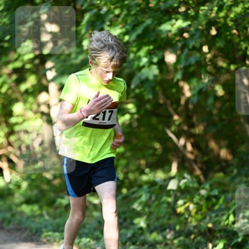 06.10.2024 - Bramfelder Halbmarathon 2024 Dr. Thomas Lammeyer http://msf.ph/oto/7341144 06.10.2024 10:48:06 Laufen 217 meine-sportfotos.de