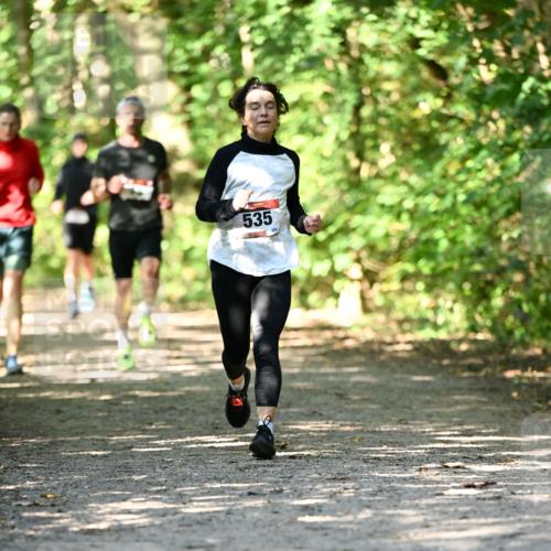 06.10.2024 - Bramfelder Halbmarathon 2024 Dr. Thomas Lammeyer http://msf.ph/oto/7341154 06.10.2024 10:48:11 Laufen 535 meine-sportfotos.de