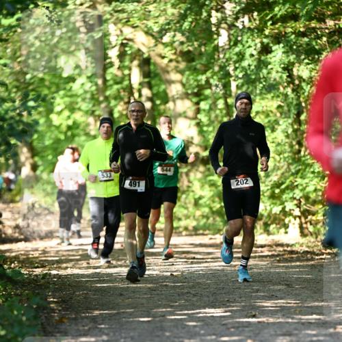 06.10.2024 - Bramfelder Halbmarathon 2024 Dr. Thomas Lammeyer http://msf.ph/oto/7341177 06.10.2024 10:48:18 Laufen 533, 491, 544, 202 meine-sportfotos.de