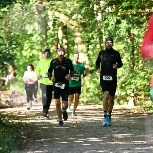 06.10.2024 - Bramfelder Halbmarathon 2024 Dr. Thomas Lammeyer http://msf.ph/oto/7341178 06.10.2024 10:48:18 Laufen 491, 202 meine-sportfotos.de