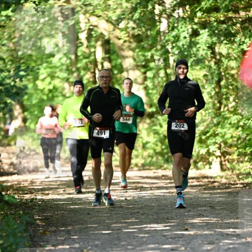 06.10.2024 - Bramfelder Halbmarathon 2024 Dr. Thomas Lammeyer http://msf.ph/oto/7341179 06.10.2024 10:48:18 Laufen 491, 544, 202 meine-sportfotos.de