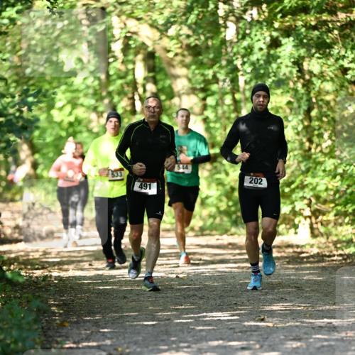 06.10.2024 - Bramfelder Halbmarathon 2024 Dr. Thomas Lammeyer http://msf.ph/oto/7341180 06.10.2024 10:48:18 Laufen 491, 202 meine-sportfotos.de