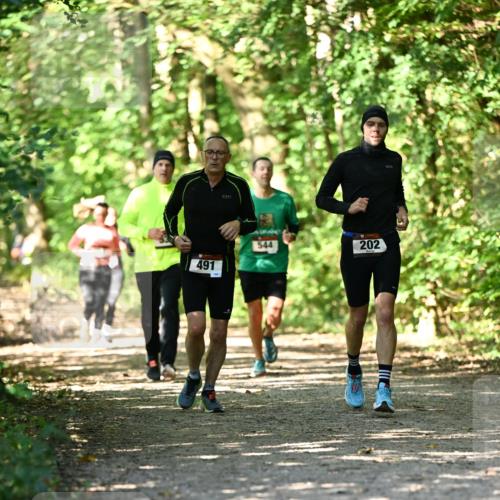 06.10.2024 - Bramfelder Halbmarathon 2024 Dr. Thomas Lammeyer http://msf.ph/oto/7341181 06.10.2024 10:48:19 Laufen 491, 544, 202 meine-sportfotos.de