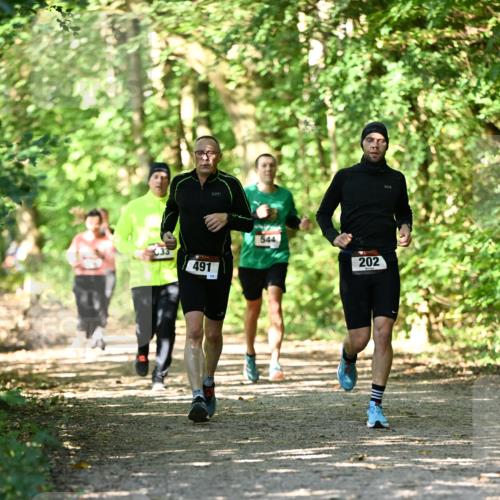 06.10.2024 - Bramfelder Halbmarathon 2024 Dr. Thomas Lammeyer http://msf.ph/oto/7341182 06.10.2024 10:48:19 Laufen 491, 544, 202 meine-sportfotos.de