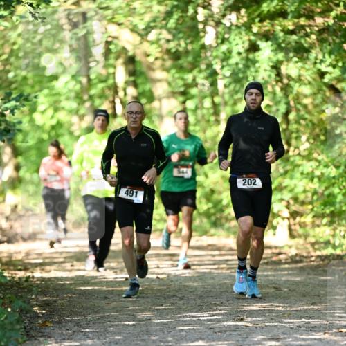 06.10.2024 - Bramfelder Halbmarathon 2024 Dr. Thomas Lammeyer http://msf.ph/oto/7341183 06.10.2024 10:48:19 Laufen 491, 202 meine-sportfotos.de