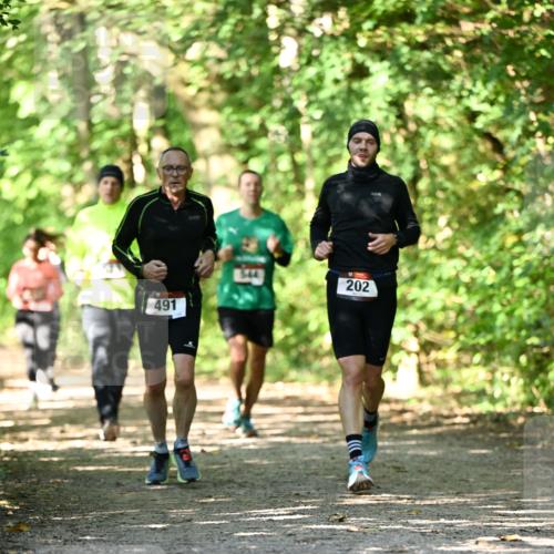 06.10.2024 - Bramfelder Halbmarathon 2024 Dr. Thomas Lammeyer http://msf.ph/oto/7341184 06.10.2024 10:48:19 Laufen 491, 202 meine-sportfotos.de