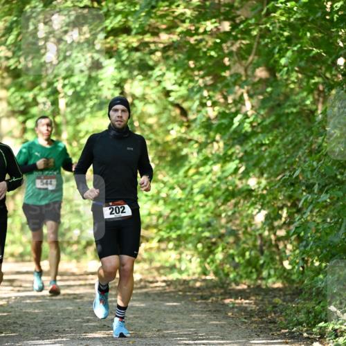 06.10.2024 - Bramfelder Halbmarathon 2024 Dr. Thomas Lammeyer http://msf.ph/oto/7341185 06.10.2024 10:48:19 Laufen 544, 202 meine-sportfotos.de