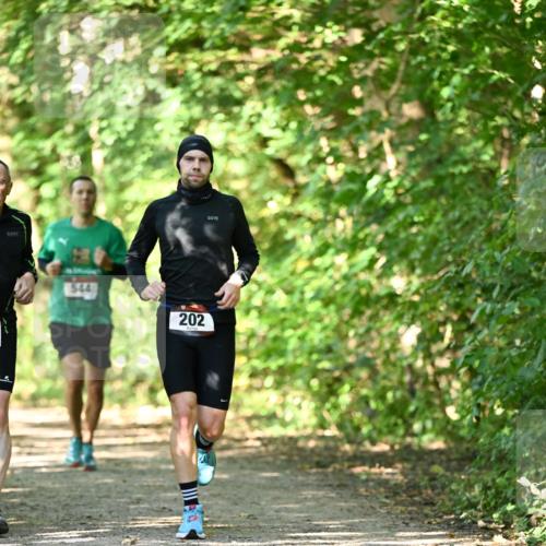 06.10.2024 - Bramfelder Halbmarathon 2024 Dr. Thomas Lammeyer http://msf.ph/oto/7341187 06.10.2024 10:48:20 Laufen 544, 202 meine-sportfotos.de