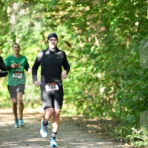 06.10.2024 - Bramfelder Halbmarathon 2024 Dr. Thomas Lammeyer http://msf.ph/oto/7341190 06.10.2024 10:48:20 Laufen 544, 202 meine-sportfotos.de