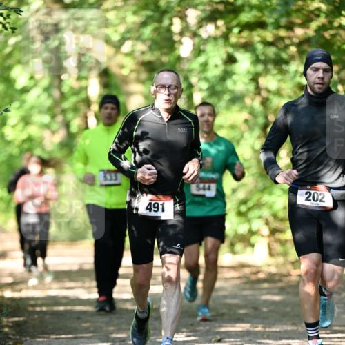 06.10.2024 - Bramfelder Halbmarathon 2024 Dr. Thomas Lammeyer http://msf.ph/oto/7341195 06.10.2024 10:48:21 Laufen 491, 544, 202 meine-sportfotos.de