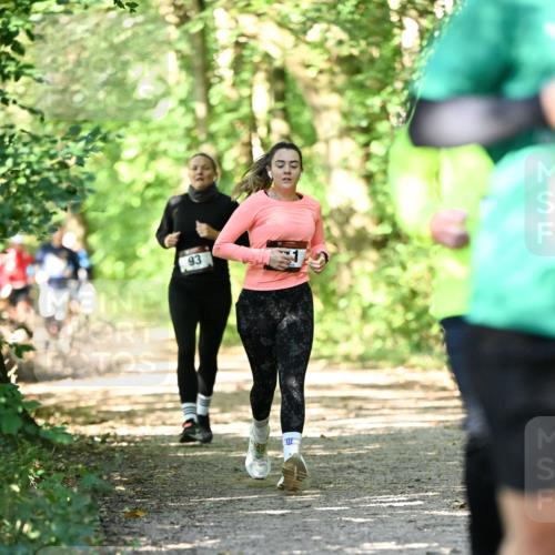 06.10.2024 - Bramfelder Halbmarathon 2024 Dr. Thomas Lammeyer http://msf.ph/oto/7341200 06.10.2024 10:48:26 Laufen 93 meine-sportfotos.de