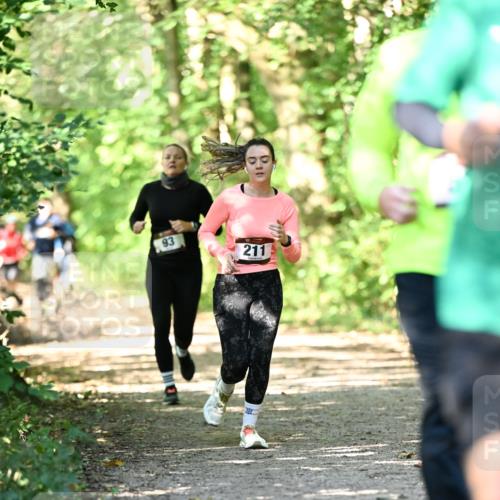 06.10.2024 - Bramfelder Halbmarathon 2024 Dr. Thomas Lammeyer http://msf.ph/oto/7341201 06.10.2024 10:48:26 Laufen 93, 211 meine-sportfotos.de