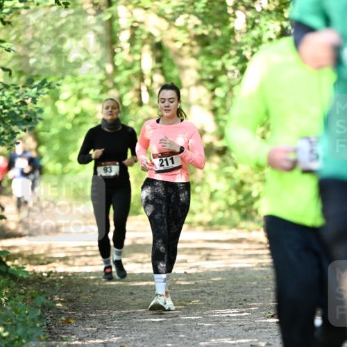 06.10.2024 - Bramfelder Halbmarathon 2024 Dr. Thomas Lammeyer http://msf.ph/oto/7341202 06.10.2024 10:48:26 Laufen 93, 211 meine-sportfotos.de