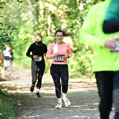 06.10.2024 - Bramfelder Halbmarathon 2024 Dr. Thomas Lammeyer http://msf.ph/oto/7341204 06.10.2024 10:48:26 Laufen 93, 211 meine-sportfotos.de